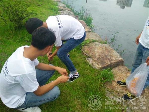 金沙官网